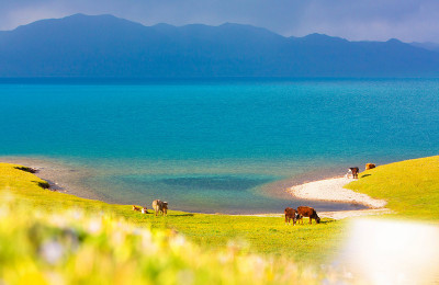 신강성 세리목호수