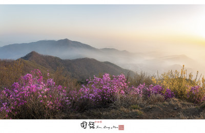 혈구산의 봄