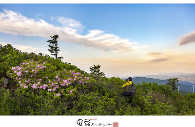 함백산의 봄