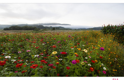 연천 댑싸리공원