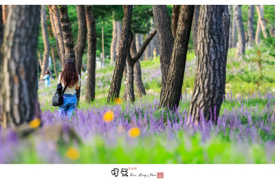 수원 노송지대에서...!!