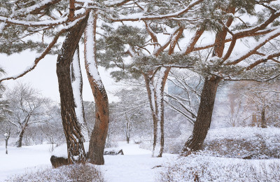 호수공원 첫 눈