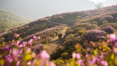 황매산