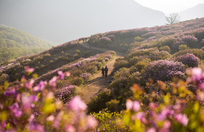 황매산