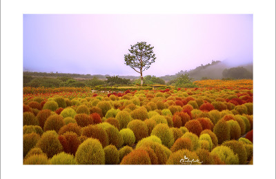 댑싸리공원 (연천)