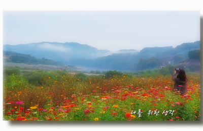 길따라가는 산책