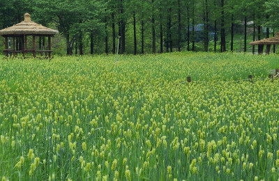 인천대공원