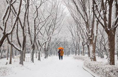 호수공원 설경