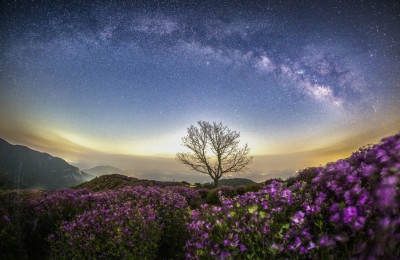 황매산의 밤