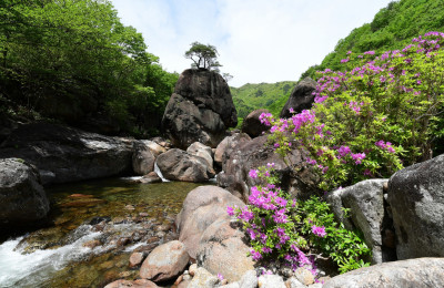 지리산의봄